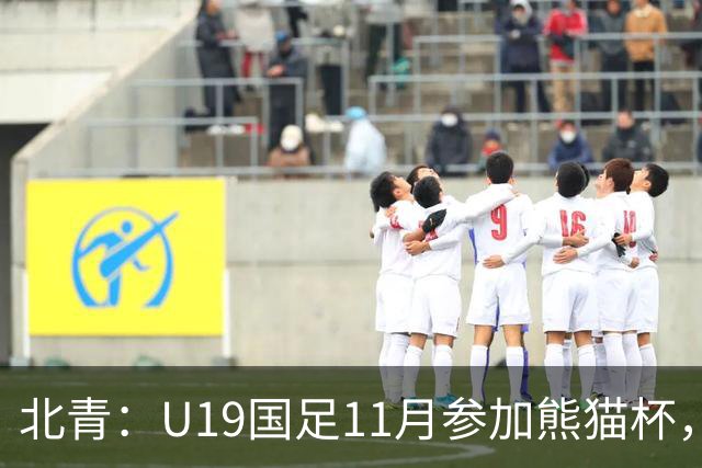 北青：U19国足11月参加熊猫杯，将交手韩国、越南、阿联酋
